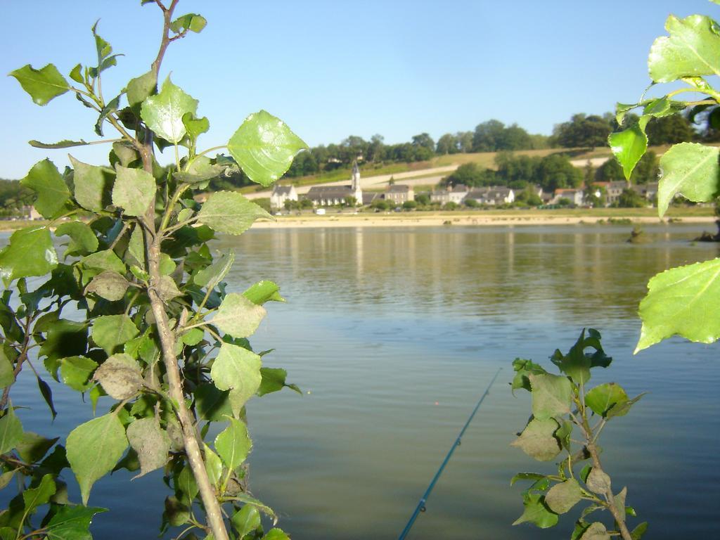 Les Bords De Loire Lejlighed Veuves Værelse billede