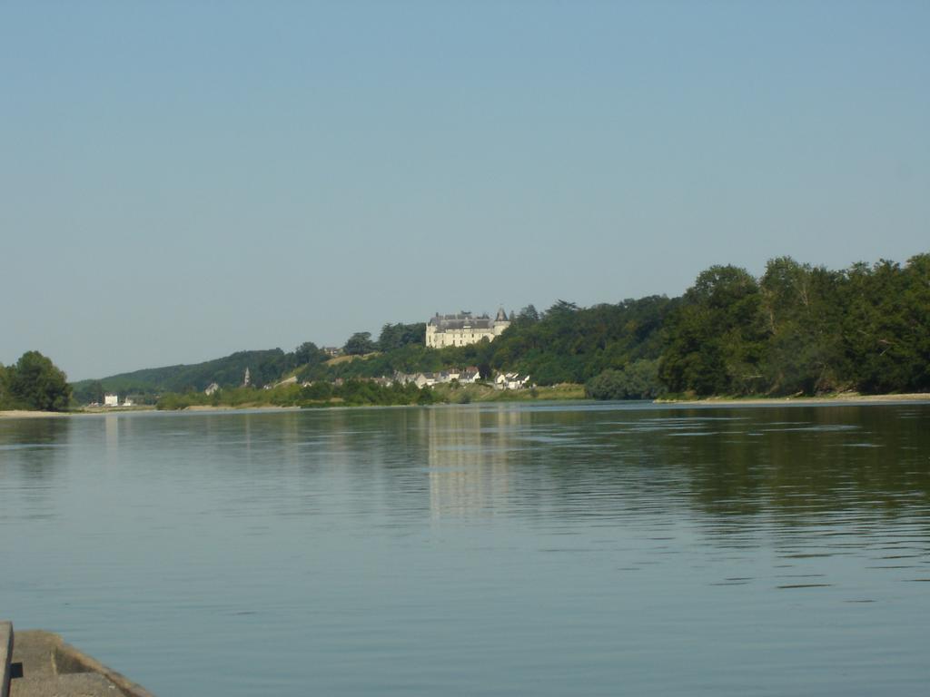 Les Bords De Loire Lejlighed Veuves Værelse billede
